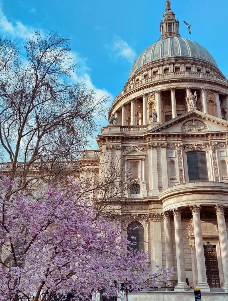 密歇根大学安娜堡分校
